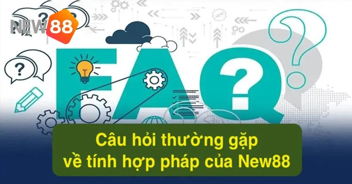 Tổng hợp các câu hỏi thường gặp tại New88 mới nhất