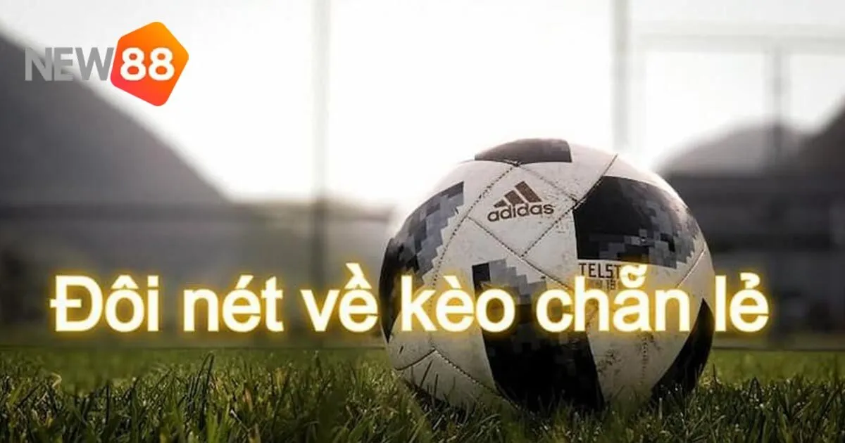 Những lưu ý khi chơi kèo chẵn lẻ tại New88 