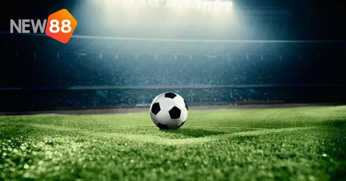 Cách nhận biết kèo dụ hiệu quả tại New88