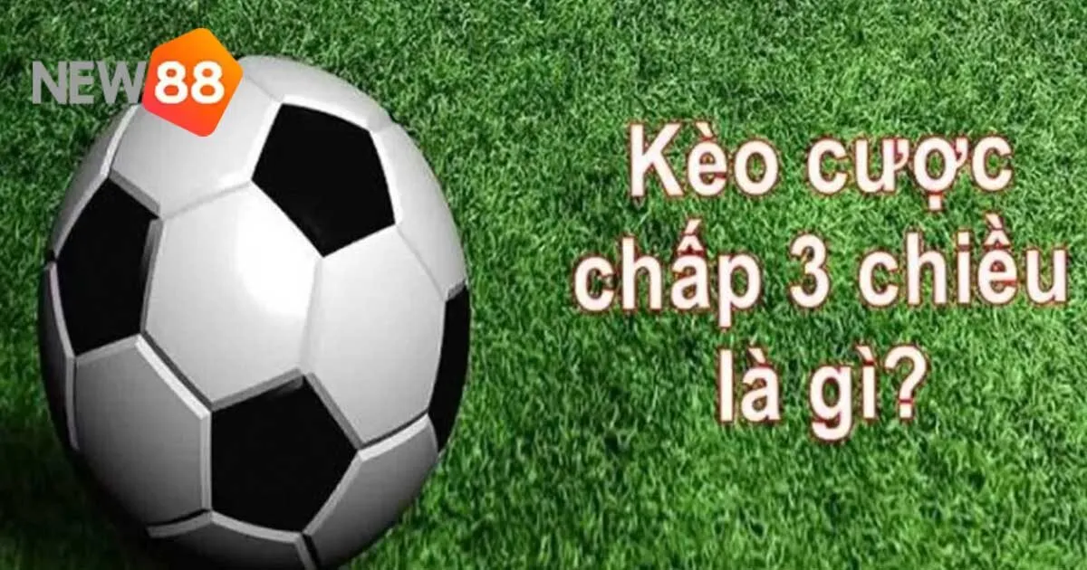 Hướng Dẫn Chi Tiết Cách Đặt Cược Chấp 3 Chiều Luôn Thắng 2 Giới thiệu khái quát về cược chấp 3 chiều