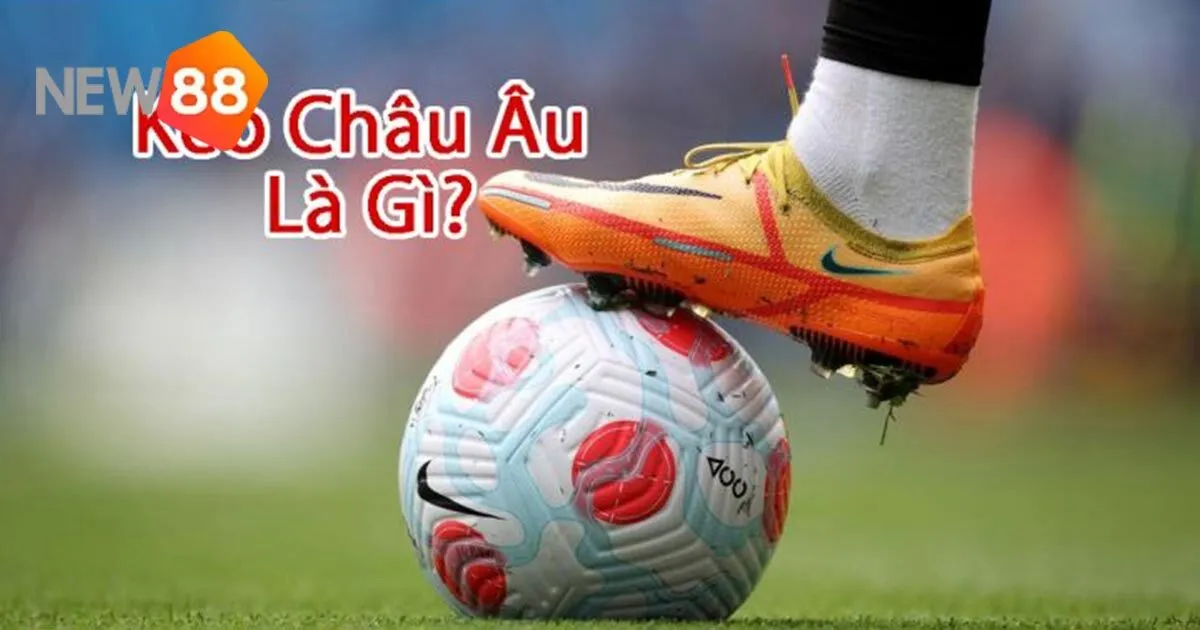 Khám Phá Kèo Châu Âu Tại New88 - Từ Cơ Bản Đến Nâng Cao