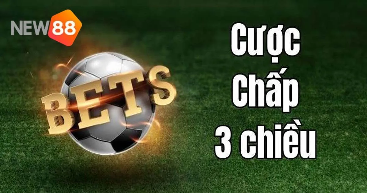 Hướng Dẫn Chi Tiết Cách Đặt Cược Chấp 3 Chiều Luôn Thắng 4 Cược chấp 3 chiều và kinh nghiệm chơi từ chuyên gia