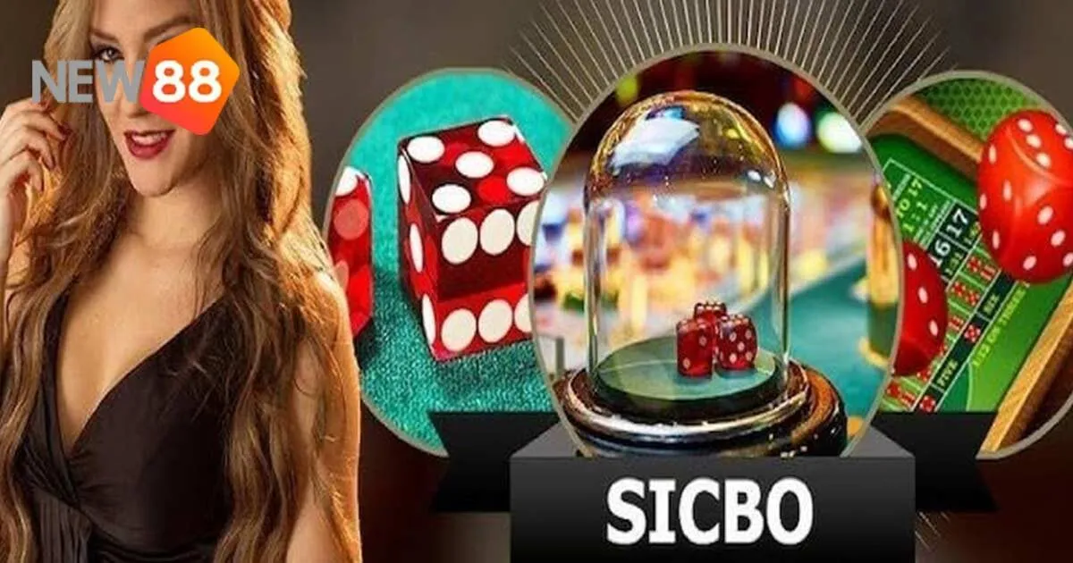 Game Bài Sicbo: Cách Chơi Và Các Thuật Ngữ Quan Trọng