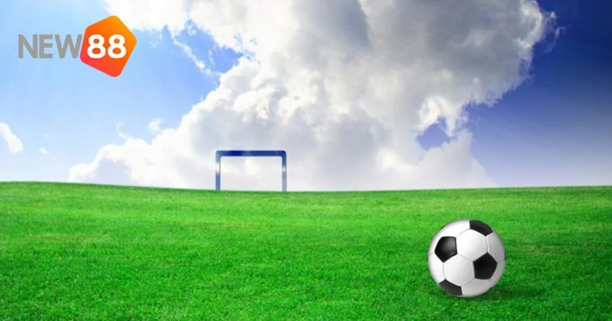 Kèo Lựa - Hình Thức Đặt Cược Phổ Biến Dành Cho Cược Thủ 4 Mẹo chơi kèo lựa chắc thắng tại nhà cái New88