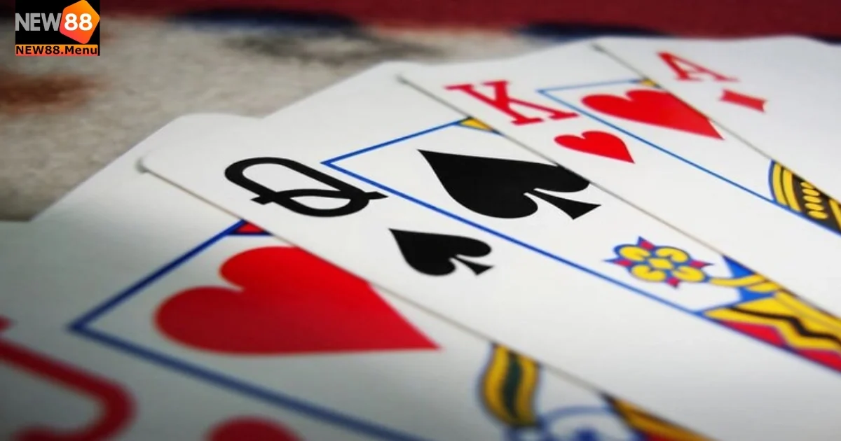 Những lưu ý quan trọng khi chơi catte tại New88