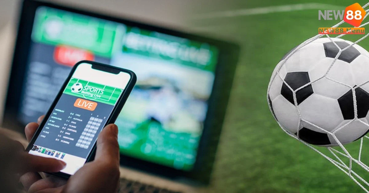 Tìm Hiểu Về Đội Bóng