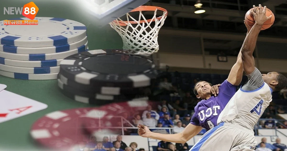 Phân tích đối thủ